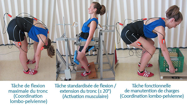 Coiffe des rotateurs