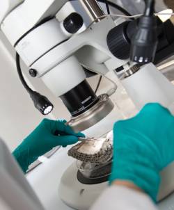 Microscope