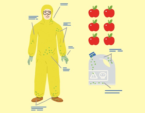Les analyses des vêtements collecteurs ont révélé la présence de douze matières actives lors de la tâche de préparation-remplissage.