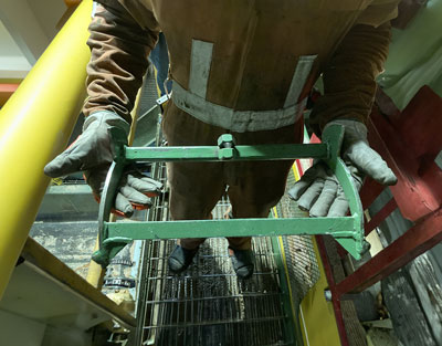 Produits forestiers Résolu – Scierie de Mistassini.